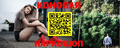 сатива Заводоуковск