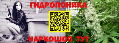 сатива Заводоуковск
