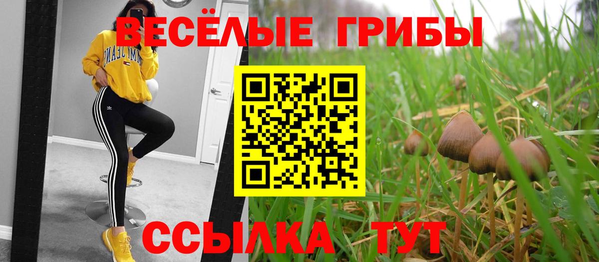 Галлюциногенные грибы мицелий  Вход с VPN  дарнет шоп  Кострома 